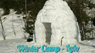 IGLOO building. 4 days ONE WINTER CAMP - CHAGA Harvest - Snow Shelter - Snowfall.