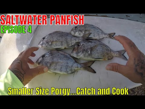 Saltwater Panfish Ep 4 Small whitebone Porgy Catch Clean and