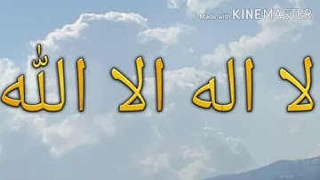 سورة وقالوا يا ايها الذي نزل عليه الذكر  انك لمجنون||2021