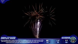 RA132189 Raccoon Fireworks 1.3G Display cake