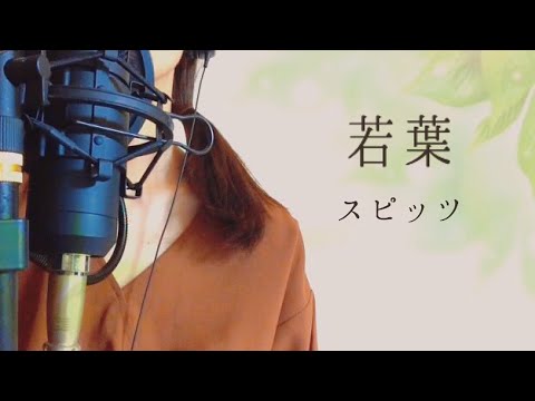 スピッツ 若葉 cover Spitz