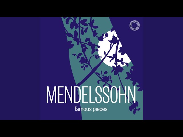 Piano Trio No. 1 in D Minor, Op. 49, MWV Q 29: II. Andante con moto tranquillo