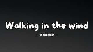 One direction – Walking in the wind   (lyrics)