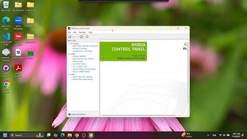 How to Update Your NVIDIA Graphics Card Drivers [2025]!