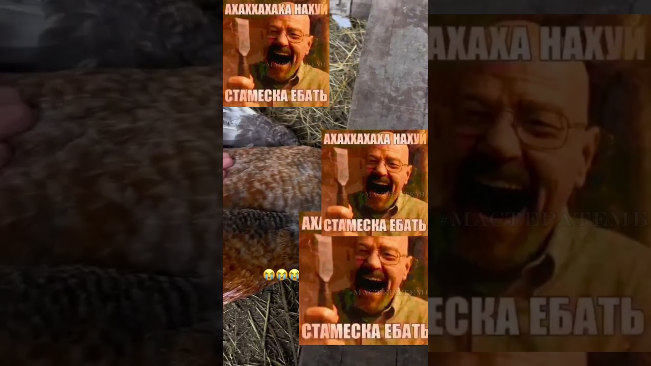 АХАХАХХА СТАМЕСКА【МастерТЕМБРА】| TGK в профиле