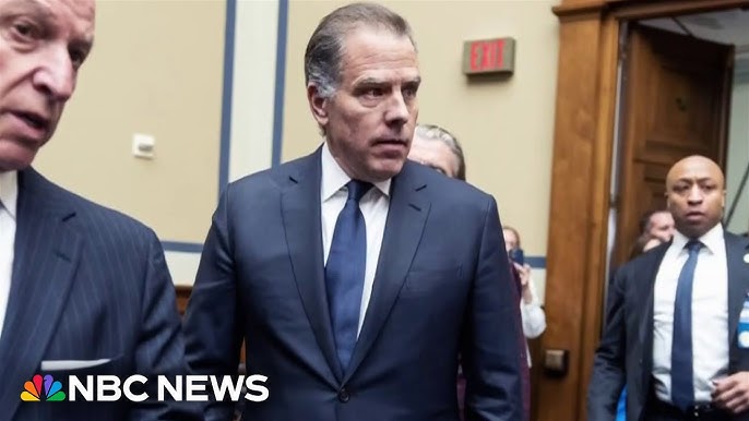 Hunter Biden Lawyers Ask Judge To Dismiss Tax Charges