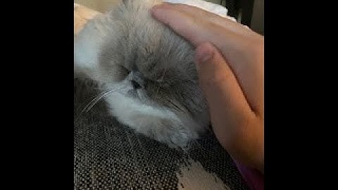 Hoi4 Modding Tutorial | States and Provinces