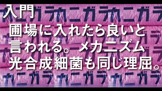 【本当？】カニガラを入れると農作物が良くなります。なぜ？