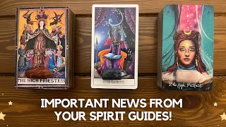 Important News from Your Spirit Guides! ✨😲 ➡️ 🔮✨ | Timeless Reading