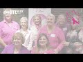 Give STL Day - Pink Wings of Hope