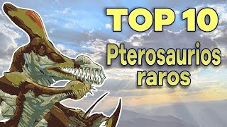 Top 10: Pterosaurios raros