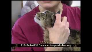 Clark County Humane Society 'Furry Feature' - June 7, 2013 by breatMCTV 73 views 10 years ago 3 minutes, 1 second