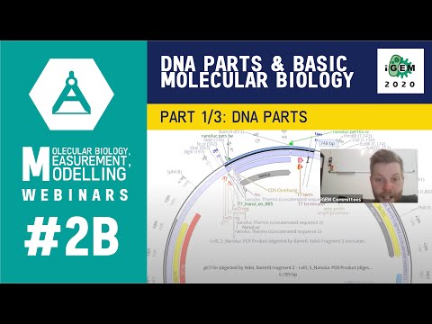 Week #2B: DNA Parts & Basic Molecular Biology Part 1/3 - DNA Parts - iGEM 2020 Measurement Webinars