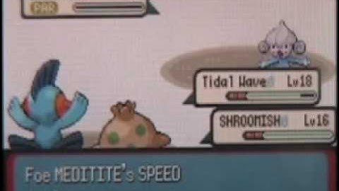 Pokemon Emerald Walkthrough Part 11