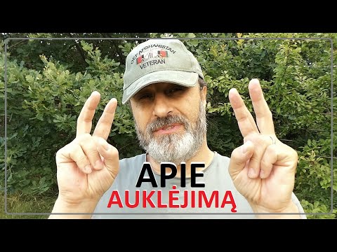 Video: Apie Auklėjimą