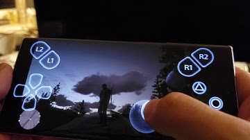 Playing Red Dead Redemption 2 on Galaxy Note 10 +