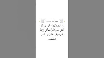 سورة الأنعام ٣٠