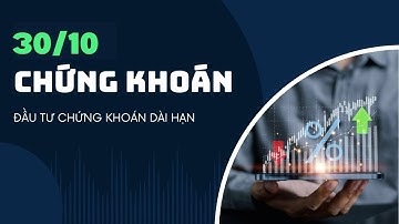 30/10/2025: BCTC Quý 3 của PHP FRT VGI