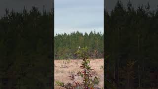 IMG 6015
