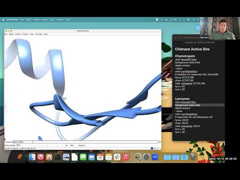 Active Site of a Protein Enzyme with the Command Line in UCSF Chimera