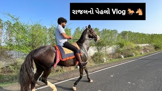 Rajal | Horse Riding | Horse video | Horse vlog | Daily Vlog | Farm | Jay Sakariya | Vlog | Horse