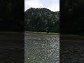 🌏🇷🇺🕊️ В России всегда и тепло и уют...Миру-мира!
