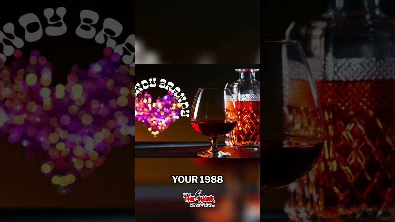 Brandy the Brandy Named After The Song Brandy