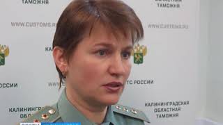 В Балтийске задержали партию детских контрафактных колготок из Китая