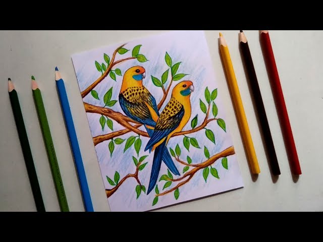 German Artist Nikolas Kuhlen Creates Beautiful Pencil Drawings Of Birds
