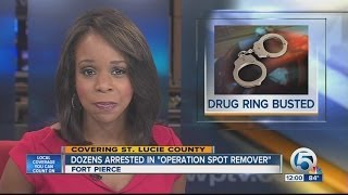 Celebrity Dozens arrested in St. Lucie Co. drug ring Wealth