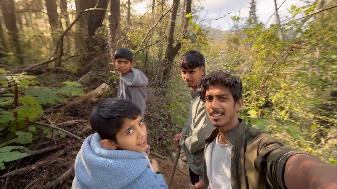 Gaon Ke Jungle Mein Mila Rahasyamayi Paudha! 😳🌿