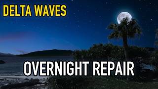 (No Ads) Delta Waves ✦ Overnight Recovery & Repair | Growth Hormone Boost | Black Screen | 8 Hours