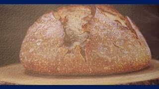 THE BREAD
THE BREAD THE BREAD