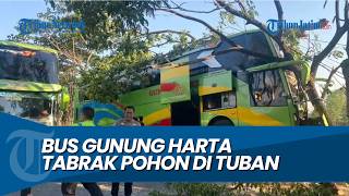 A bus accident in Gunung Harta, Tuban, hit a tree, leaving dozens of passengers unharmed.
