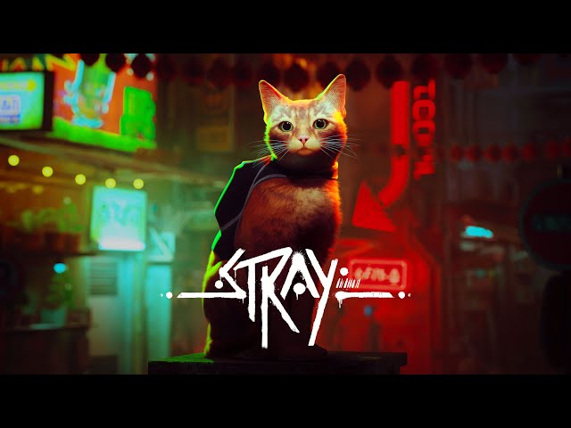 Stray traz sua aventura repleta de felinos ao Xbox em agosto