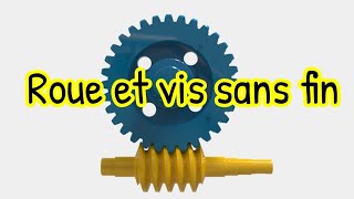 Roue et vis sans fin 