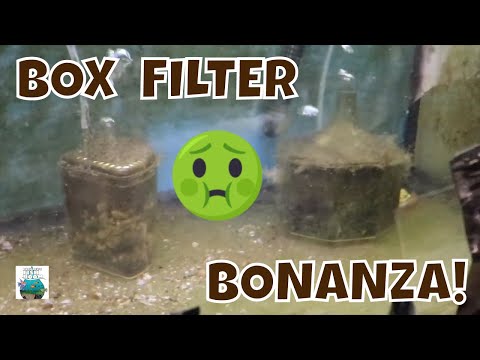 Video: Cum se utilizează filtre de box / colț