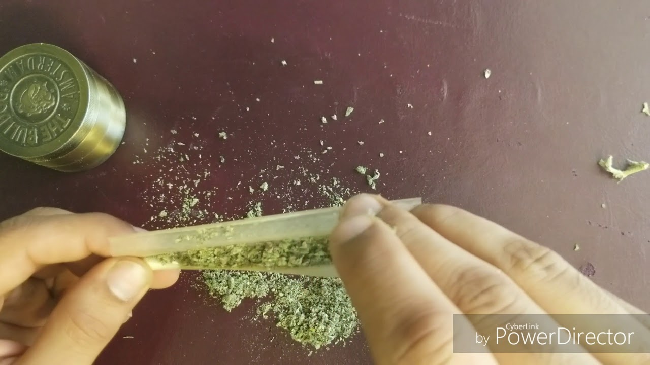 Learn How to roll a perfect beginner joint 