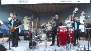 Cold Duck -Uptown Funk