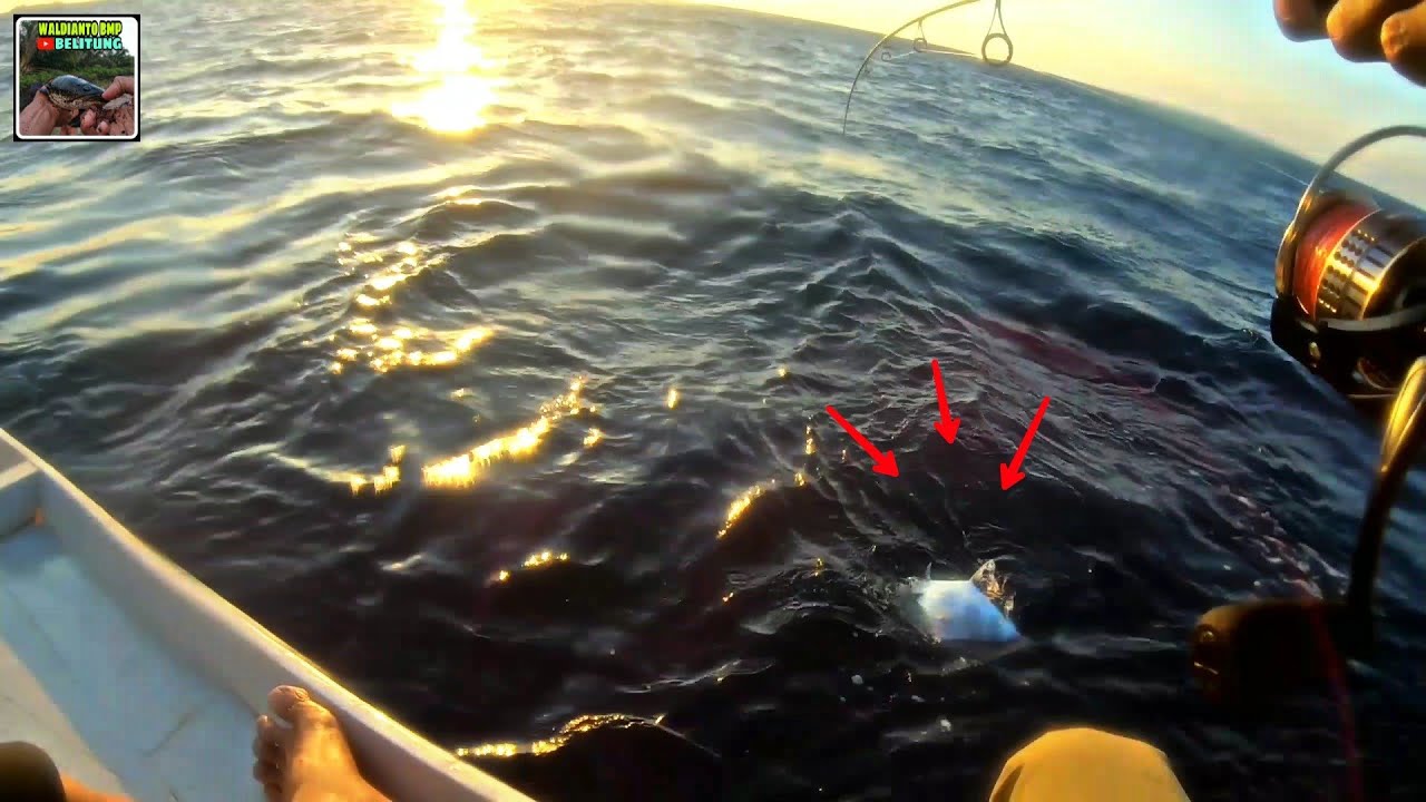 Pertama Kalinya Mancing Jigging Langsung Strike Ikan Besar, Mantap !!