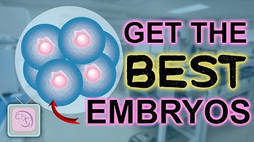 Why do IVF cycles fail after transfer? Part 1 The embryo