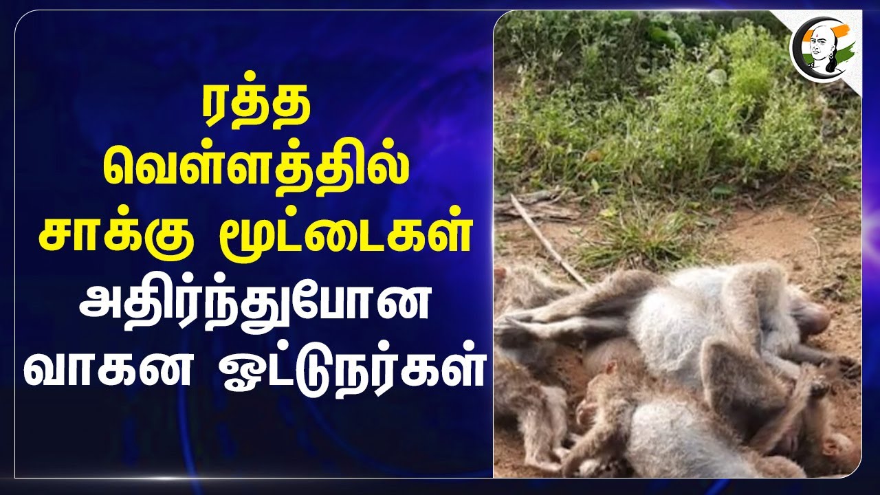 ரத்த வெள்ளத்தில் சாக்கு மூட்டைகள்; அதிர்ந்துபோன வாகன ஓட்டுநர்கள்|  Karanataka