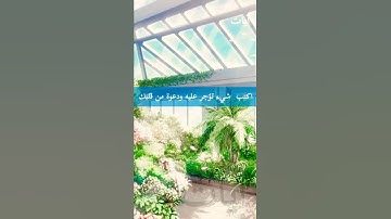 سيصلح الله كل شيء💛 || ماتيسر من سورة الرحمن || القارئ : حسام الدين عبادي 🎧