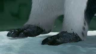 Suggested Feet Video Happy Feet