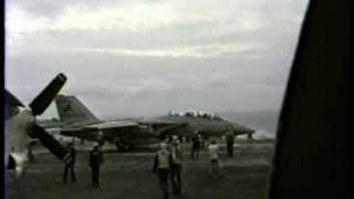 Tomcat on the prowl