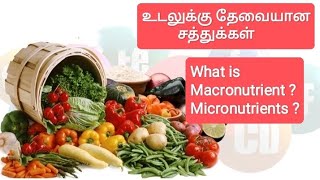 What is macronutrient and micronutrients? உடலுக்கு தேவையான சத்துக்கள் என்ன?Homoeopthy Treatment