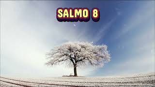 SALMO 8 - DEUS É GLORIFICADO NAS SUAS OBRAS E NA SUA BONDADE