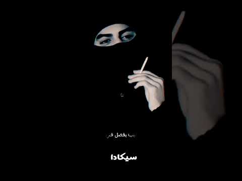 متسرحش عدنا بعد الفاصل عودة سيكادا 3301 اكسبلور أخوات سيكادا ضلع سيكادا خالد حالات واتس