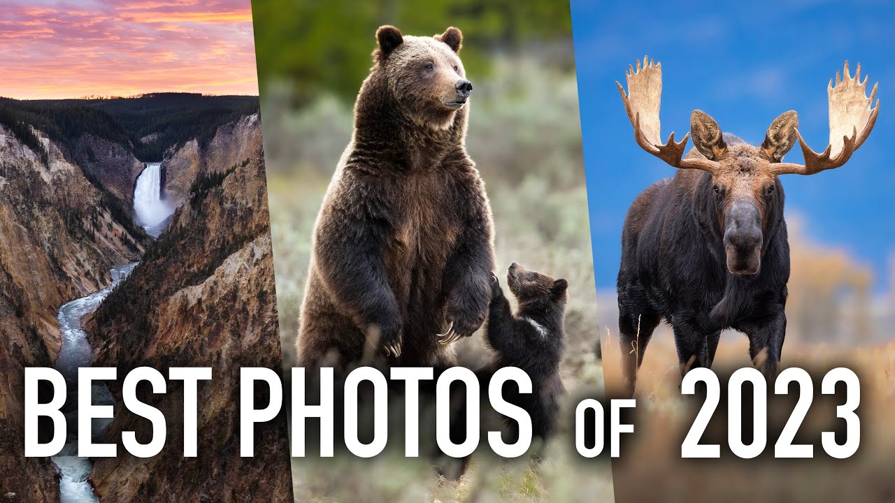 Мои 10 лучших фотографий 2023 года