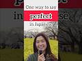 186. One way to say “perfect” in Japanese #japaneseconversation #日本語会話 #japanese #日本語 #nihongo